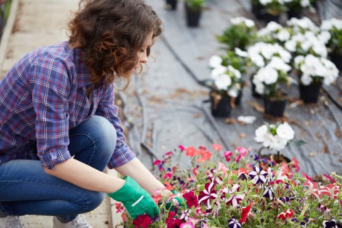 Service provider resolving a garden maintenance complaint respectfully