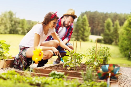 Healthy residential lawn care in Rotherhithe with neat green grass