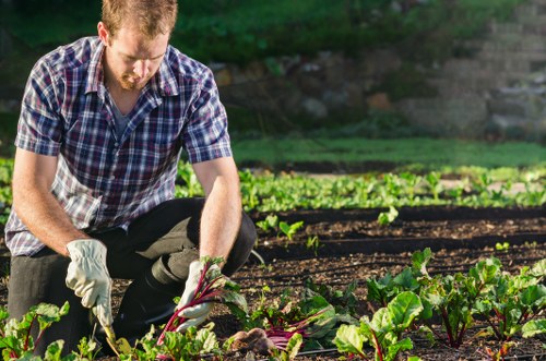 Safe garden maintenance work with protective equipment and clear space