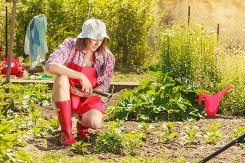 Garden maintenance issue being reviewed carefully by local professionals