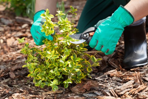 Local garden care in Rotherhithe with seasonal planting