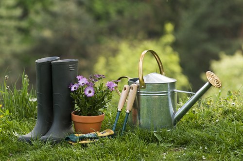 Professional lawn care in Rotherhithe improving lawn health and appearance