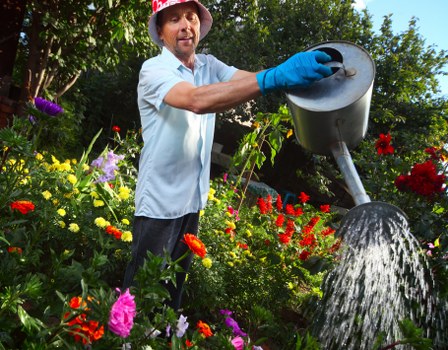 Rotherhithe garden lawn maintenance with shaded turf and clean borders