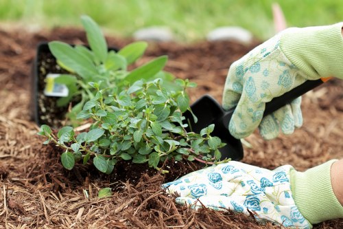 Governing law and final agreement terms for gardening services