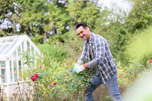 Seasonal hedge cutting service in Rotherhithe for privacy and kerb appeal