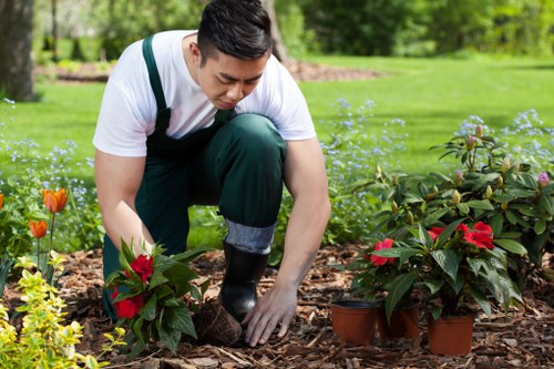 Professional gardening care for a Rotherhithe property