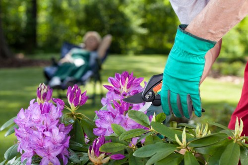 Illustration of privacy and website cookie management for Gardeners Rotherhithe