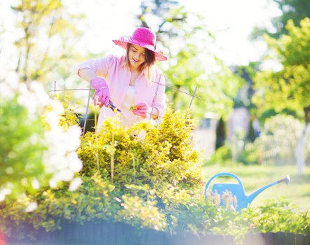 Quotation and estimate terms for garden work