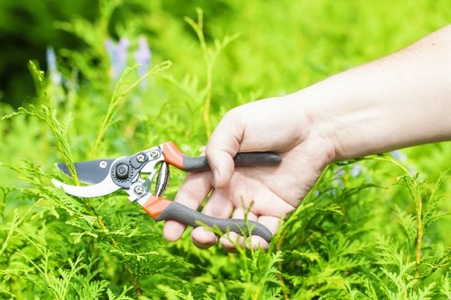 Free quote service for Gardeners Rotherhithe in a busy residential area