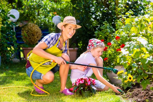 Seasonal lawn treatment in Rotherhithe for thicker grass growth