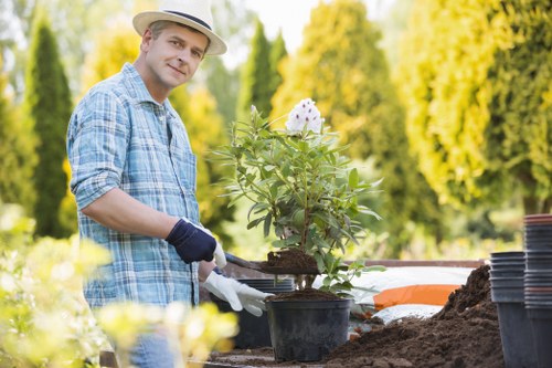 Well-kept lawn maintenance in a Rotherhithe garden