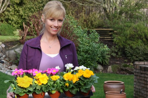 Professional garden maintenance for a compact Rotherhithe courtyard garden