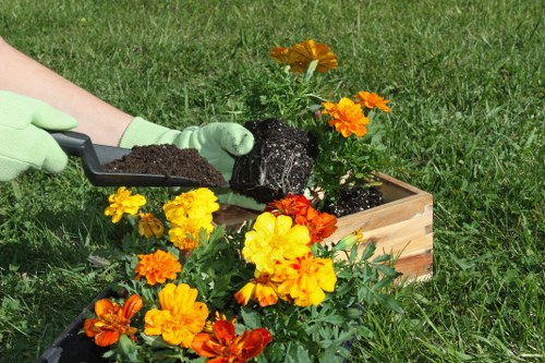Urban garden upkeep in Rotherhithe with pruning, weeding, and border care