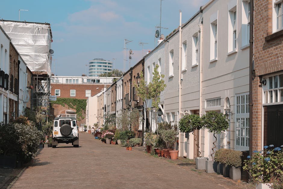A quiet residential street in Rotherhithe lined with terraced houses featuring a mix of brick and white-painted exteriors. The cobblestone pavement is adorned with various potted plants, including sma