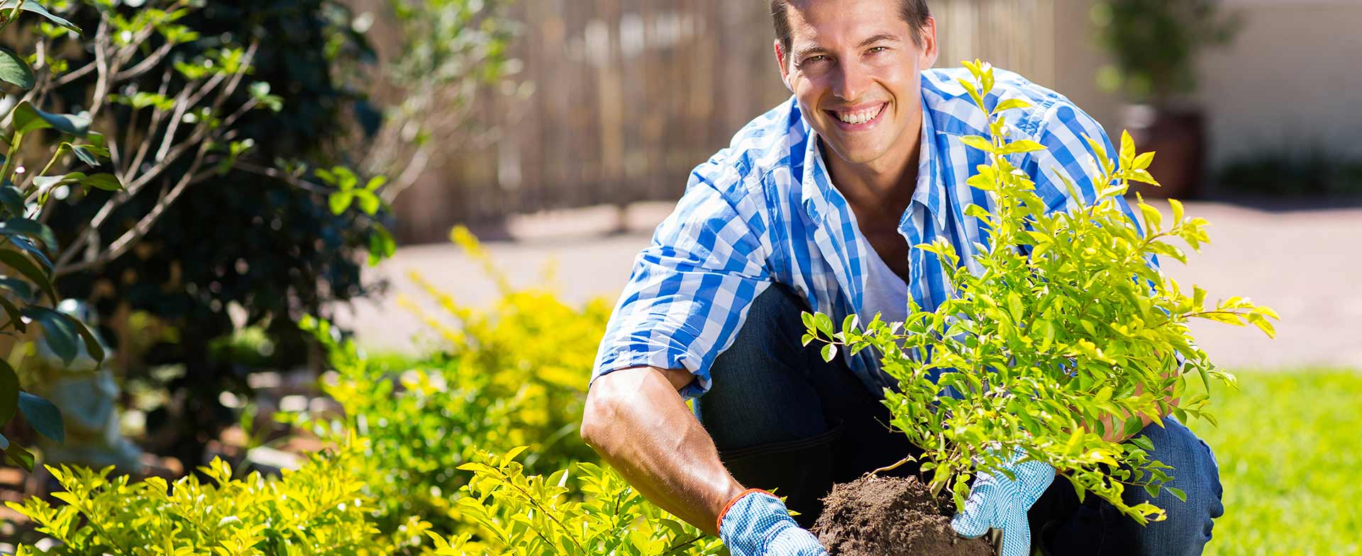 Gardeners Rotherhithe